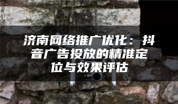 济南网络推广优化：抖音广告投放的精准定位与效果评估